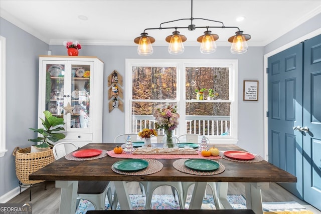 dining space featuring hardwood / wood-style floors and ornamental molding