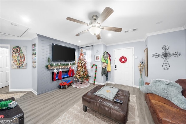 living room with ceiling fan, crown molding, and light hardwood / wood-style flooring