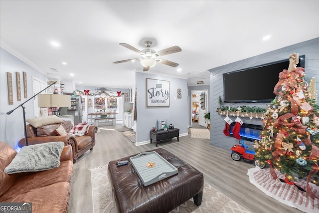 living room with light hardwood / wood-style floors, ceiling fan, and crown molding