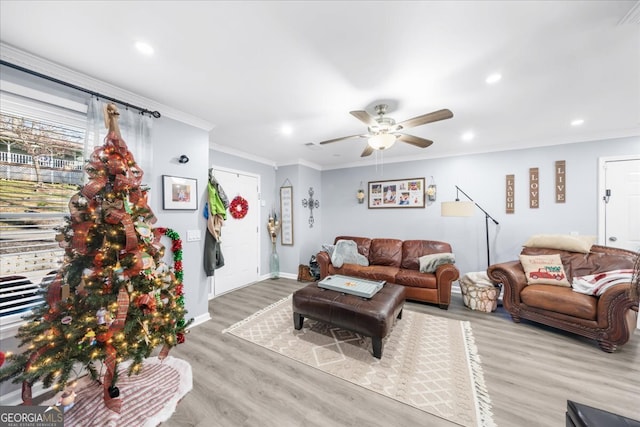 living room featuring ceiling fan, light hardwood / wood-style flooring, and ornamental molding