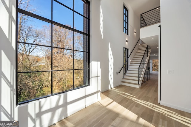 interior space featuring hardwood / wood-style floors, a healthy amount of sunlight, and a high ceiling