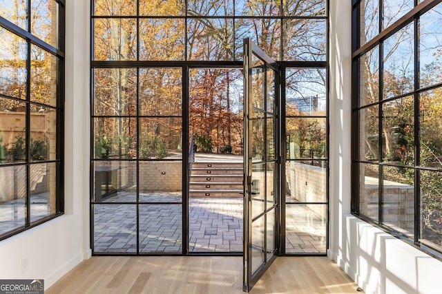 doorway with light wood-type flooring and a wealth of natural light