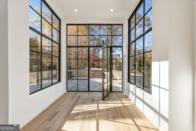 entryway with plenty of natural light, a towering ceiling, and light hardwood / wood-style flooring