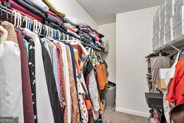 spacious closet featuring carpet floors