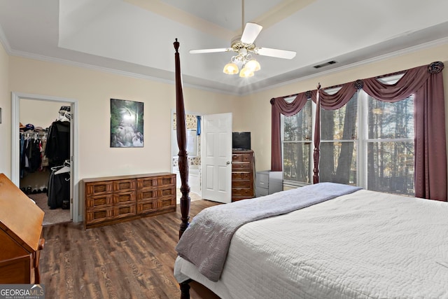 bedroom featuring a walk in closet, ceiling fan, crown molding, dark wood-type flooring, and a closet