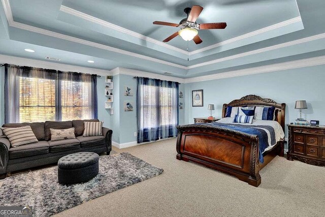 bedroom featuring a tray ceiling, multiple windows, and ceiling fan