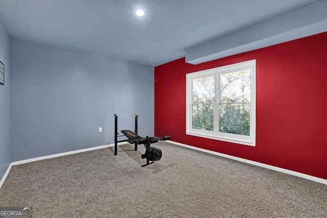 exercise area featuring carpet floors