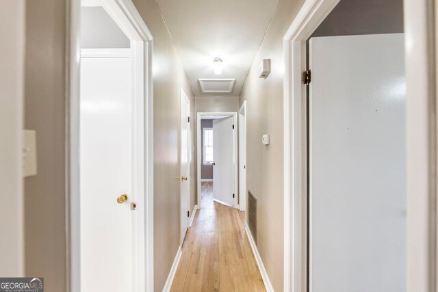 spare room featuring light hardwood / wood-style flooring and ceiling fan