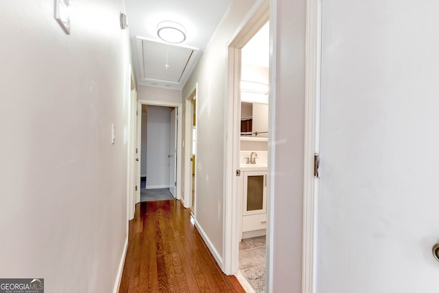 hallway with sink and wood-type flooring