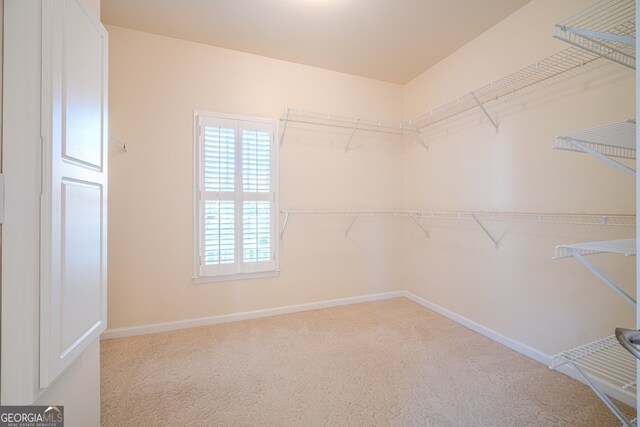 spacious closet featuring carpet floors