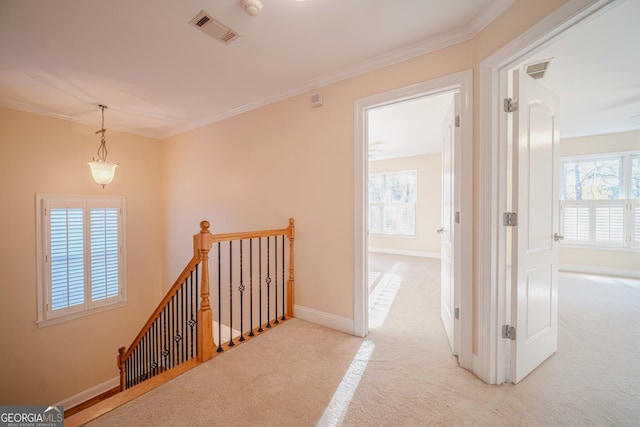 hall featuring light carpet and ornamental molding