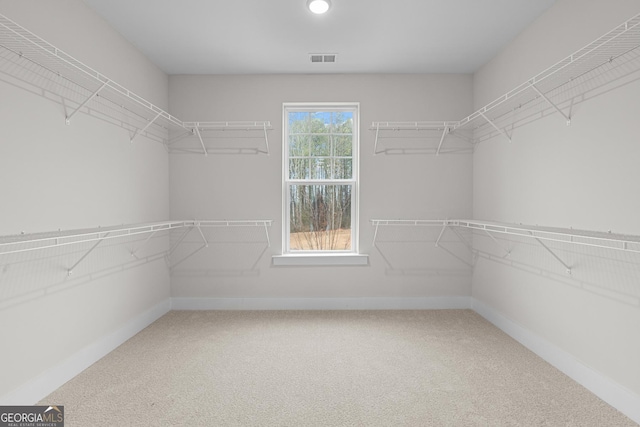 walk in closet featuring carpet