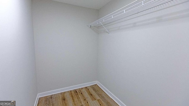 spacious closet with wood-type flooring