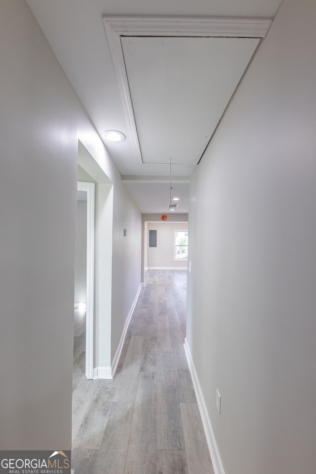 hall with light hardwood / wood-style flooring