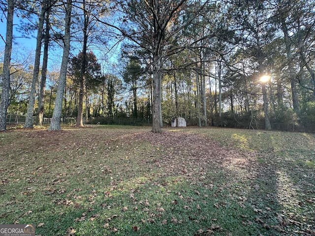 view of yard featuring a storage shed