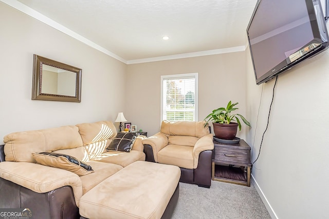 carpeted living room with crown molding