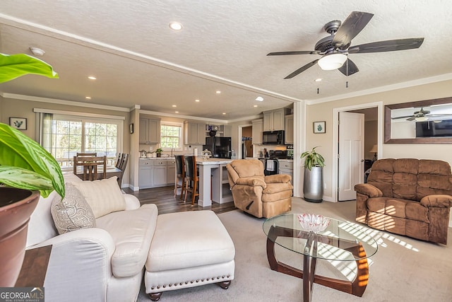 living room featuring ornamental molding, a textured ceiling, ceiling fan, sink, and light hardwood / wood-style flooring