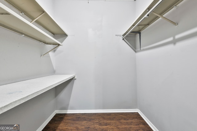 walk in closet with dark hardwood / wood-style flooring