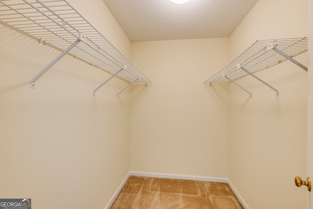 walk in closet featuring carpet flooring