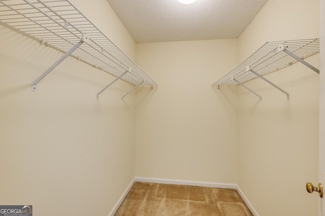 walk in closet with light carpet