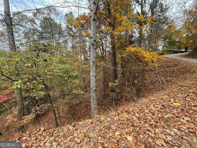 Listing photo 2 for LOT468 Cherokee Ct, Ellijay GA 30540