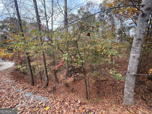 Listing photo 3 for LOT468 Cherokee Ct, Ellijay GA 30540