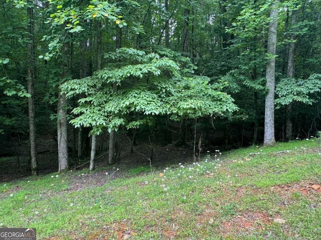 LOT1721 Newport Dr, Ellijay GA, 30540 land for sale