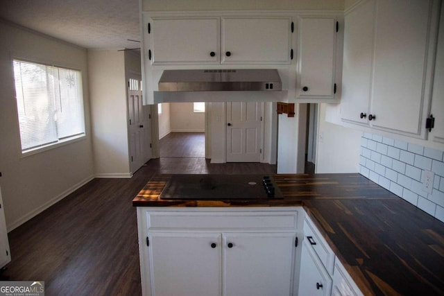 kitchen with dark hardwood / wood-style flooring, white cabinets, and ventilation hood