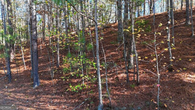 4189 Haralson Mill Rd NE, Conyers, GA 30012