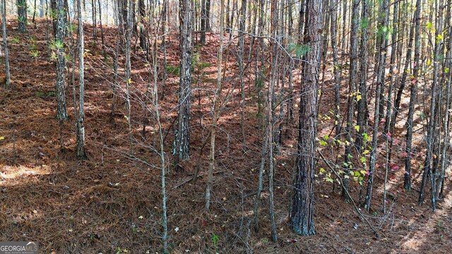 4189 Haralson Mill Rd NE, Conyers, GA 30012