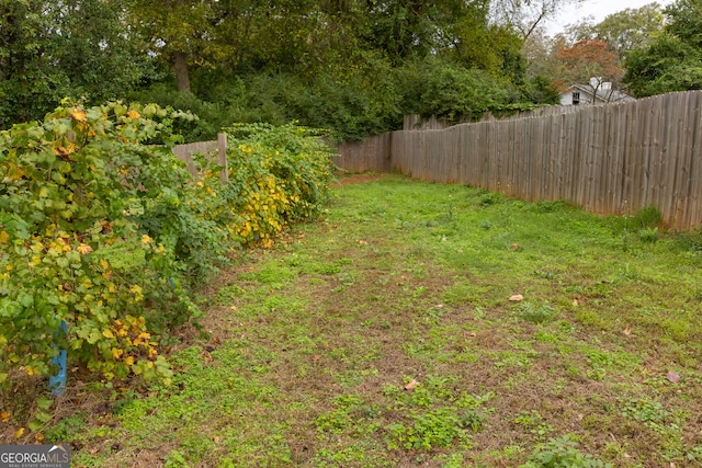 view of yard