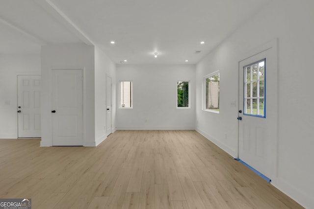 interior space featuring light wood-type flooring and a healthy amount of sunlight