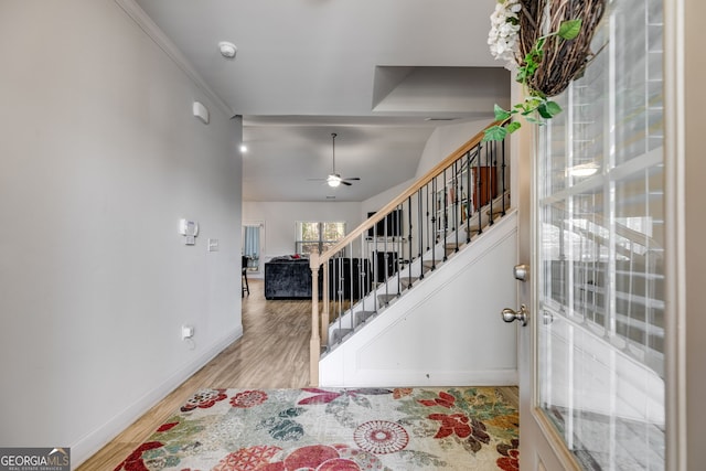 foyer featuring light wood-type flooring, ceiling fan, and crown molding