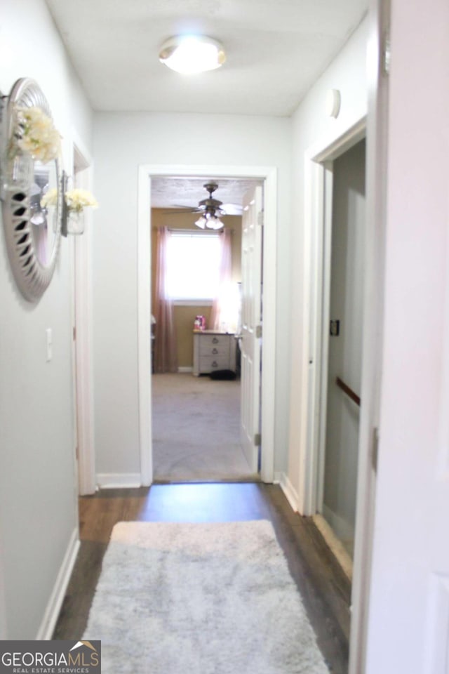 corridor featuring dark wood-type flooring