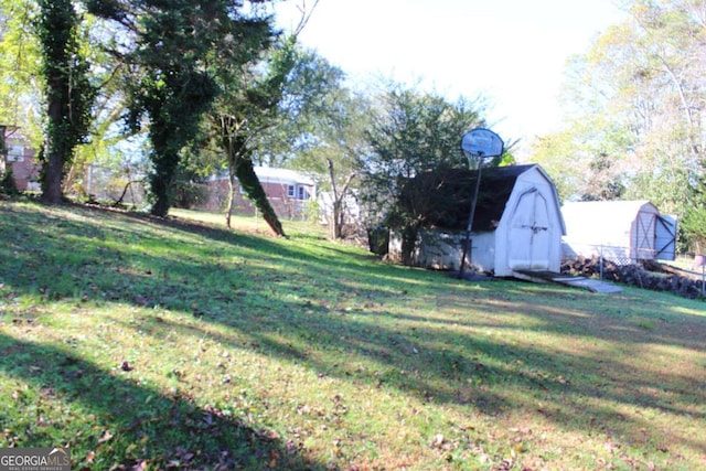 view of yard featuring a storage unit