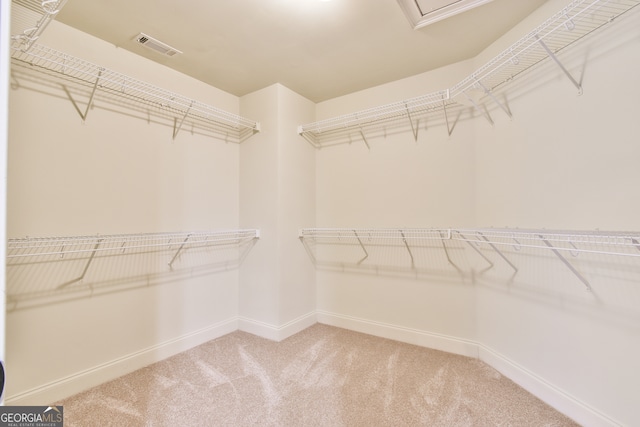 spacious closet featuring carpet floors