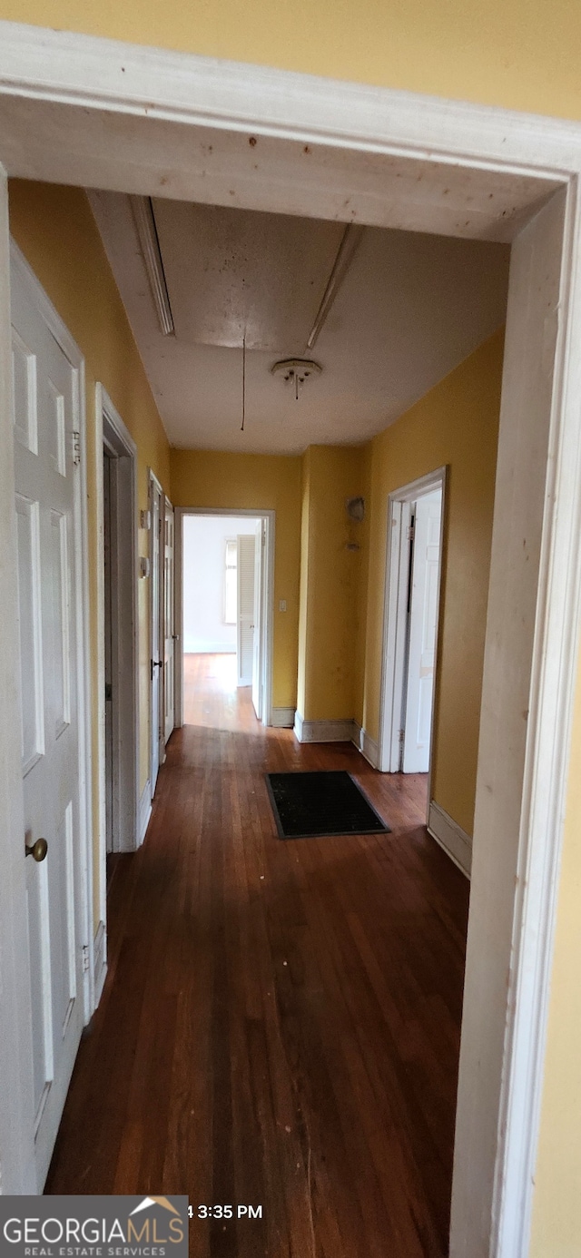 hallway featuring hardwood / wood-style flooring