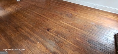 interior details featuring wood-type flooring