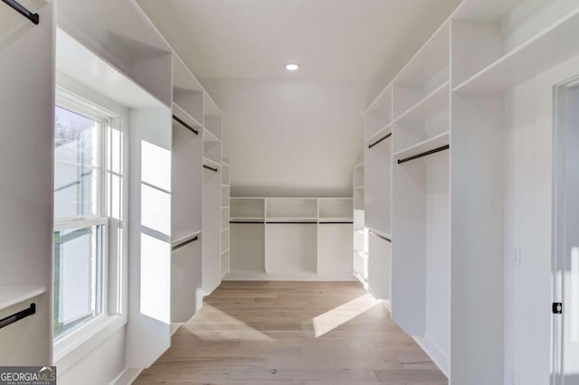 walk in closet featuring light hardwood / wood-style flooring