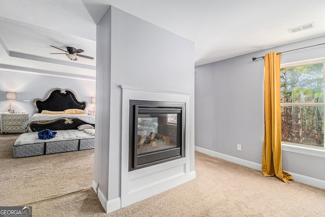 details featuring carpet and ceiling fan