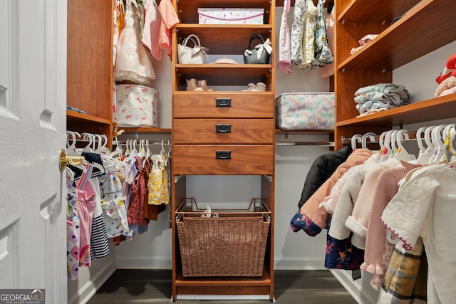 view of walk in closet