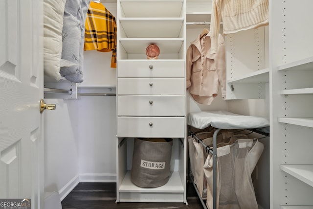 spacious closet featuring dark hardwood / wood-style flooring