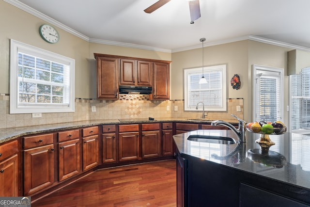2202 Escalade Ct, Conyers, GA 30094 - kitchen with under cabinet range hood, dark wood-type flooring, healthy amount of natural light, light stone countertops, and crown molding