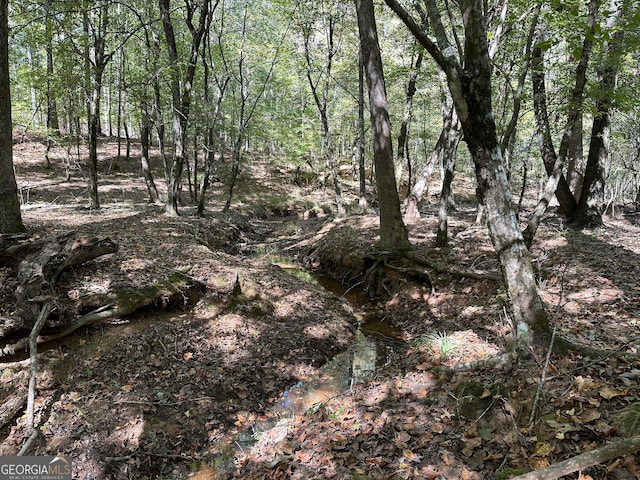 view of landscape