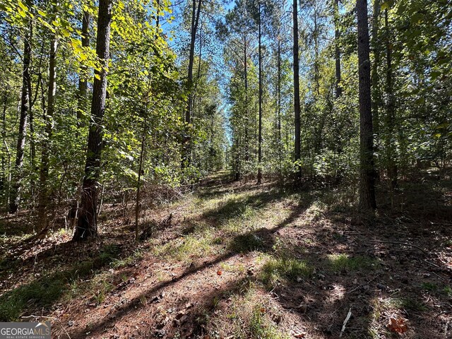 view of local wilderness