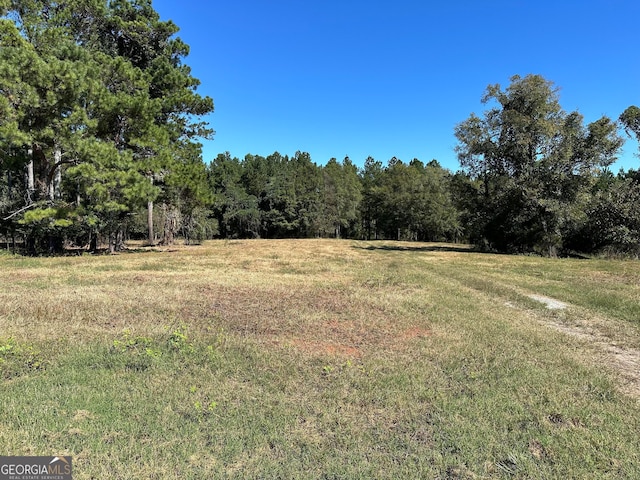 view of yard featuring a rural view