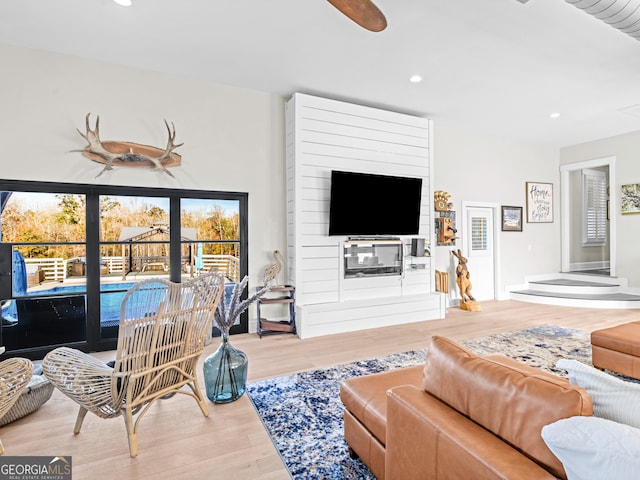 living room featuring hardwood / wood-style flooring