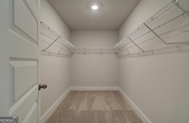 walk in closet featuring carpet floors