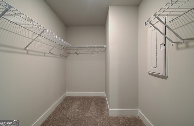 spacious closet featuring carpet