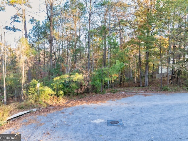 Listing photo 3 for 2228 Margaret Ct, Lithonia GA 30058